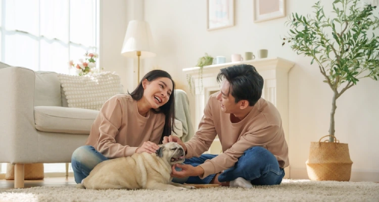 becoming a buy to let landlord