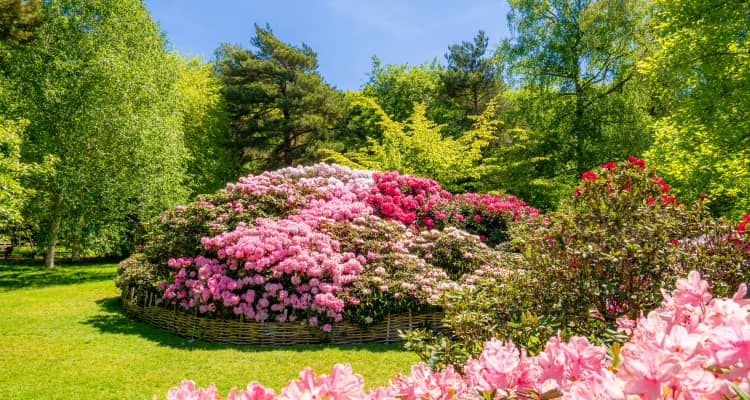 large garden ideas and designs London