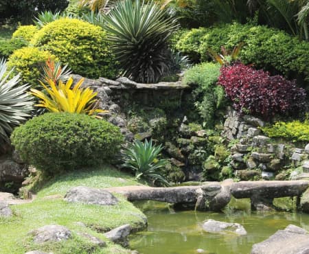 Large Garden Ideas & Designs For Homes In Wimbledon