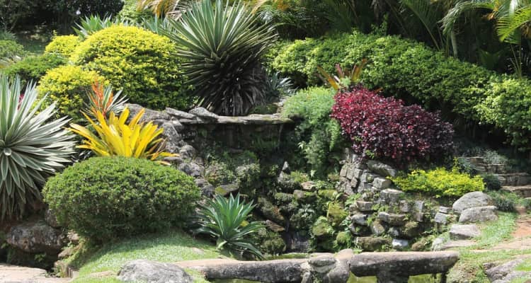 large garden ideas and designs