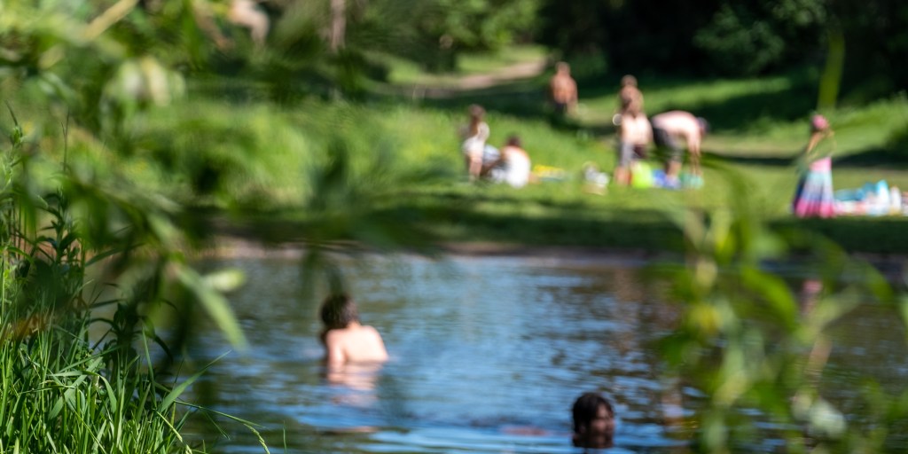 Open air swimming in London.