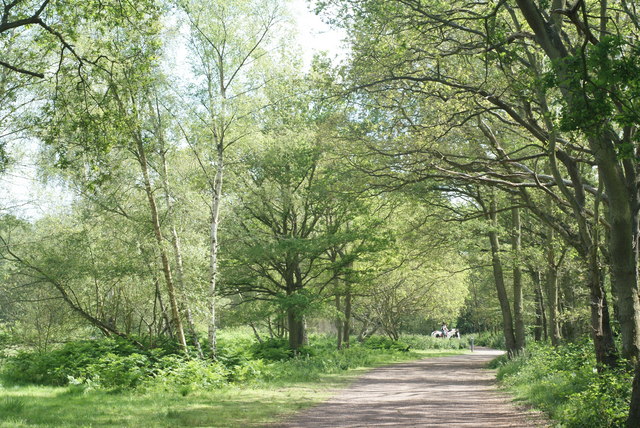 Why Wimbledon Village is becoming a desirable place to live
